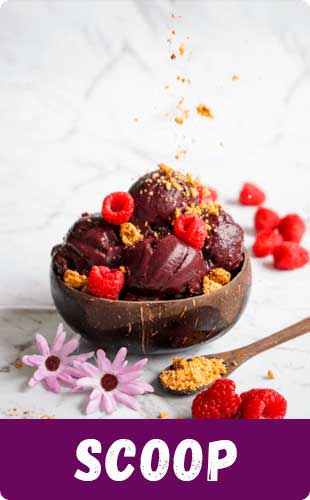 scoop-kings-acai.jpg